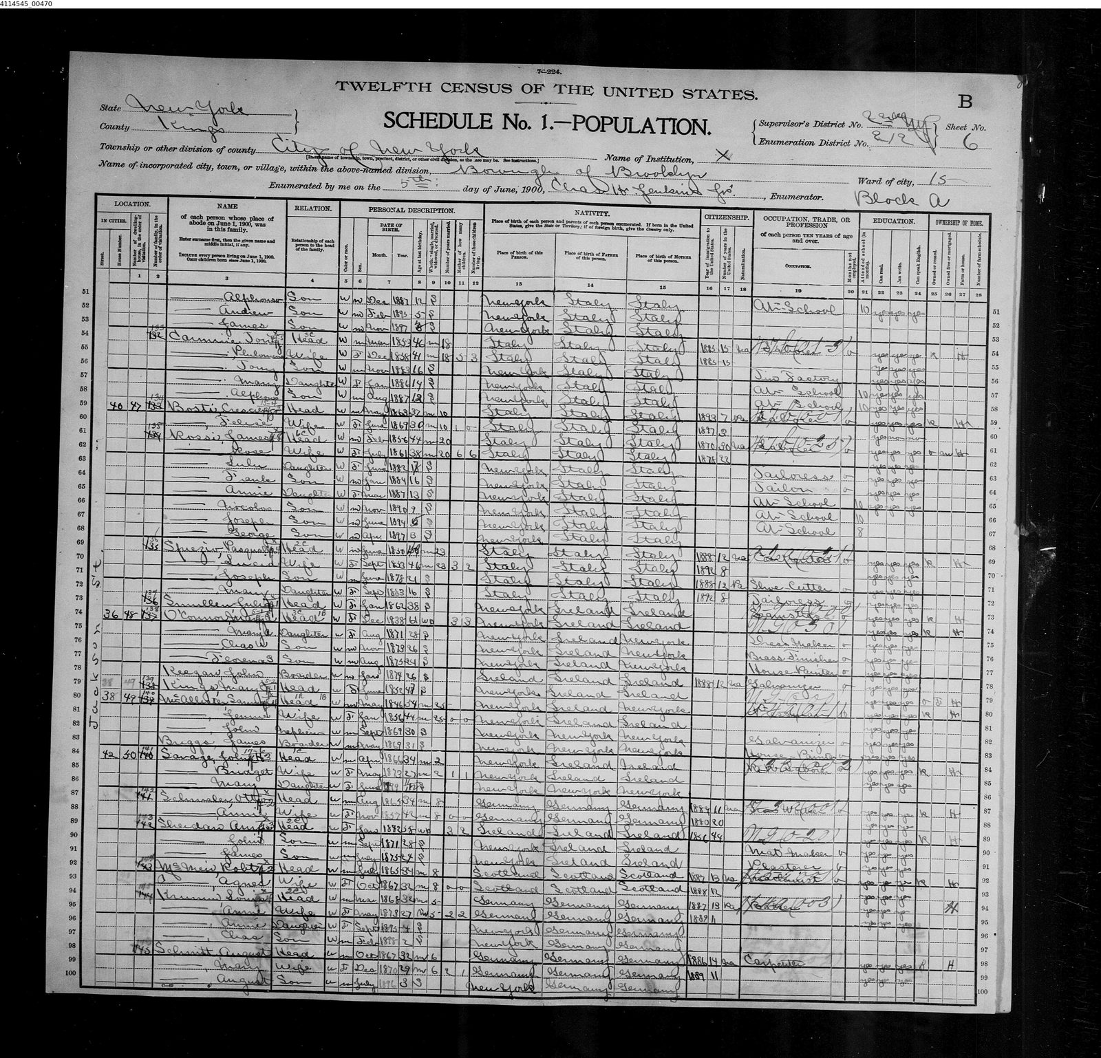 1900 census, Brooklyn Ward 15: the D'Ascolis ten years after arrival, 
