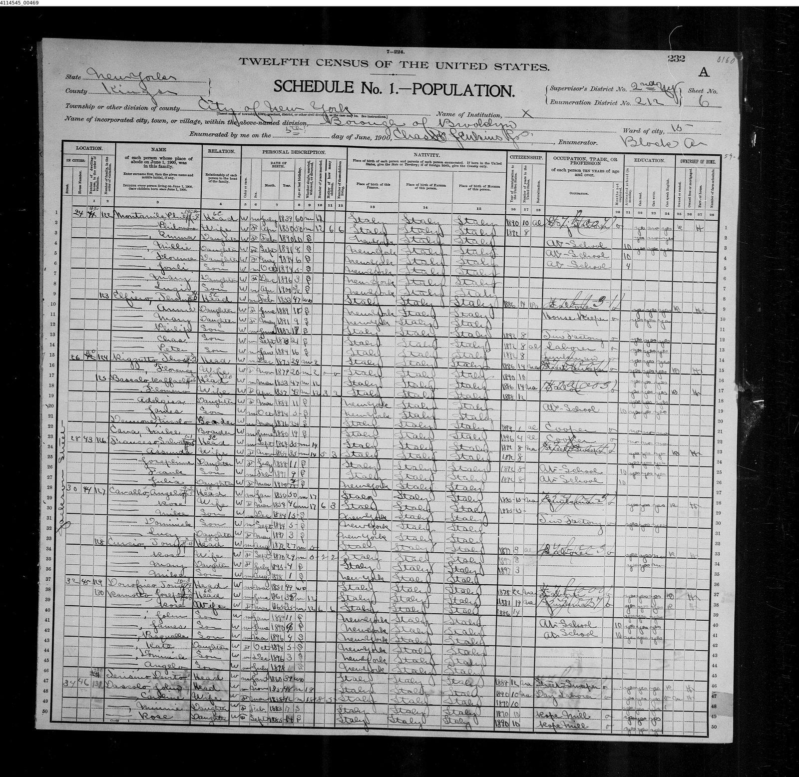 1900 census, Brooklyn Ward 15: the D'Ascolis ten years after arrival, 